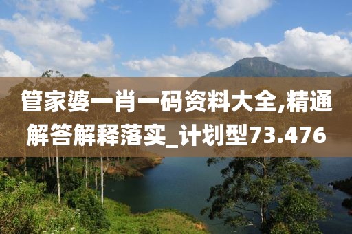 管家婆一肖一码资料大全,精通解答解释落实_计划型73.476