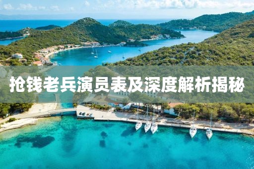 抢钱老兵演员表及深度解析揭秘