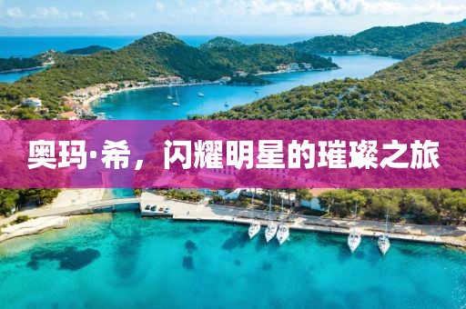 奥玛·希，闪耀明星的璀璨之旅