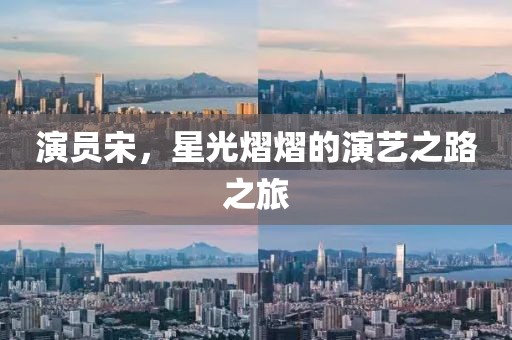 演员宋，星光熠熠的演艺之路之旅