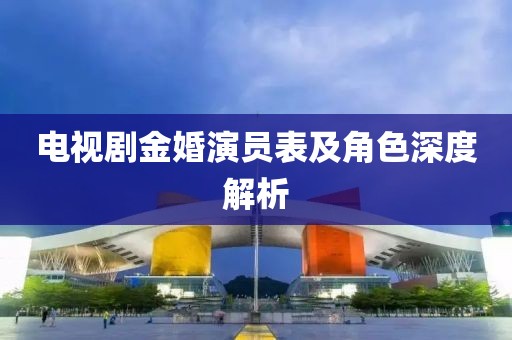电视剧金婚演员表及角色深度解析