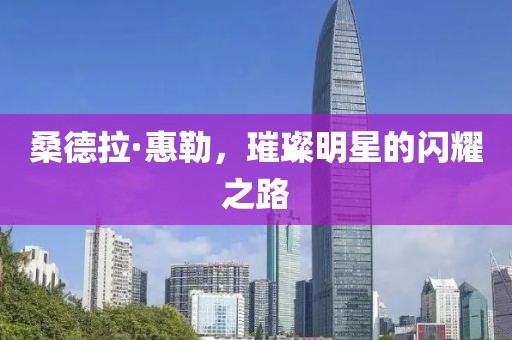 桑德拉·惠勒，璀璨明星的闪耀之路