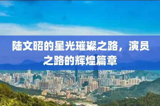 陆文昭的星光璀璨之路，演员之路的辉煌篇章