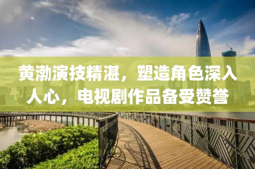 黄渤演技精湛，塑造角色深入人心，电视剧作品备受赞誉