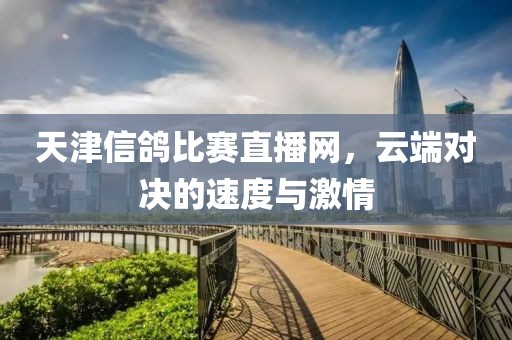 天津信鸽比赛直播网，云端对决的速度与激情