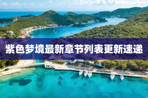 紫色梦境最新章节列表更新速递