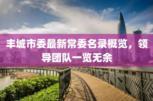 丰城市委最新常委名录概览，领导团队一览无余