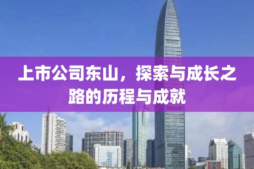 上市公司东山，探索与成长之路的历程与成就