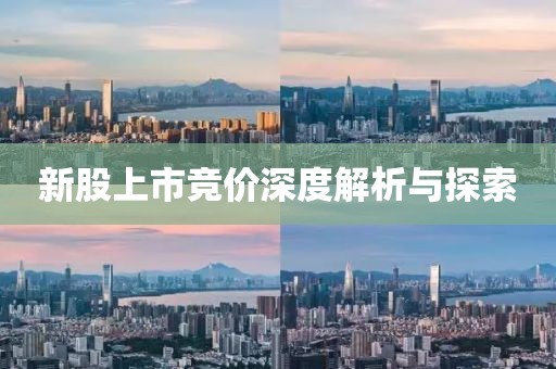新股上市竞价深度解析与探索