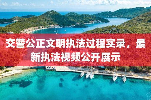 交警公正文明执法过程实录，最新执法视频公开展示