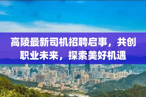 高陵最新司机招聘启事，共创职业未来，探索美好机遇