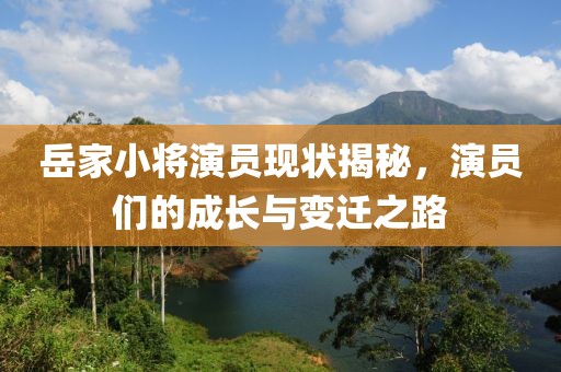 岳家小将演员现状揭秘，演员们的成长与变迁之路