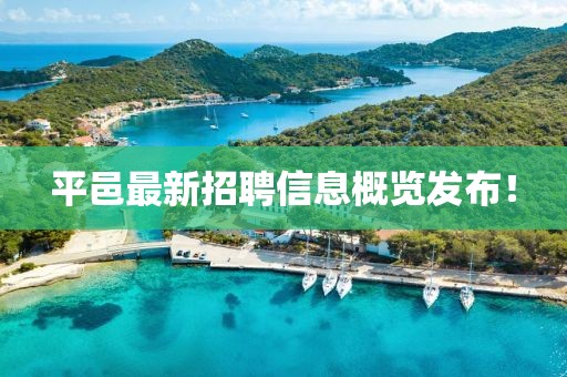 平邑最新招聘信息概览发布！