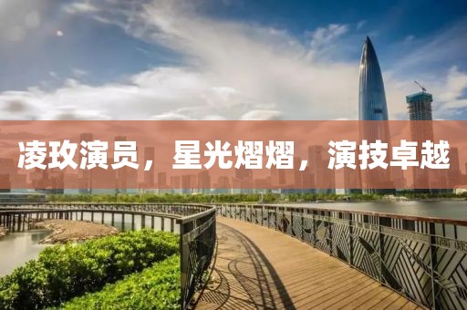 凌玫演员，星光熠熠，演技卓越