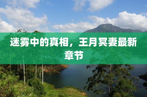 迷雾中的真相，王月冥妻最新章节