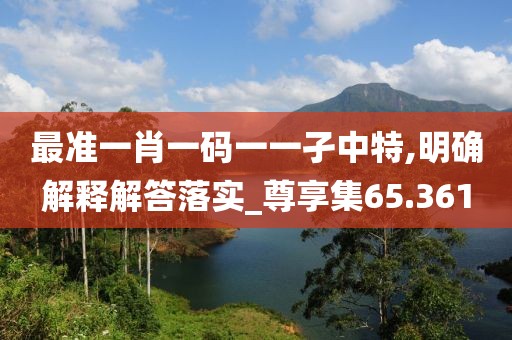 最准一肖一码一一孑中特,明确解释解答落实_尊享集65.361