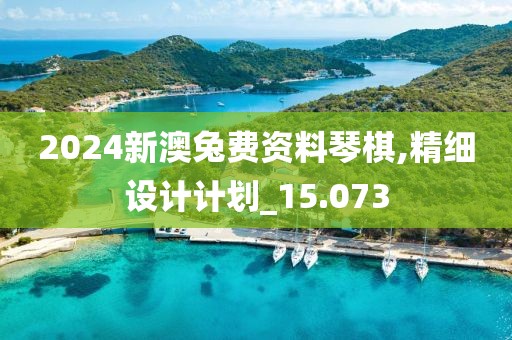 2024新澳兔费资料琴棋,精细设计计划_15.073