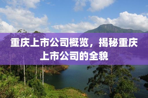 重庆上市公司概览，揭秘重庆上市公司的全貌