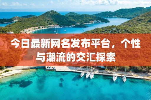 今日最新网名发布平台，个性与潮流的交汇探索