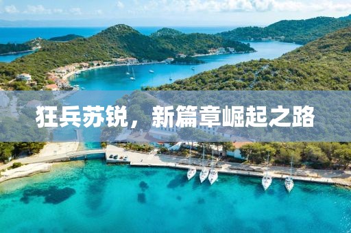 萌心恋雪 第13页