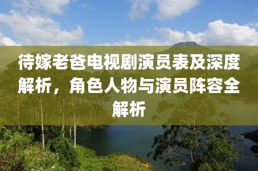 待嫁老爸电视剧演员表及深度解析，角色人物与演员阵容全解析