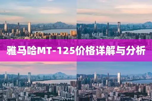 雅马哈MT-125价格详解与分析