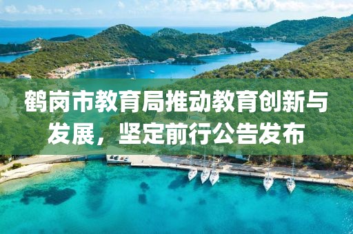 鹤岗市教育局推动教育创新与发展，坚定前行公告发布
