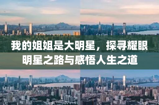 我的姐姐是大明星，探寻耀眼明星之路与感悟人生之道