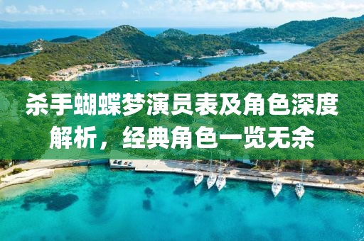 杀手蝴蝶梦演员表及角色深度解析，经典角色一览无余