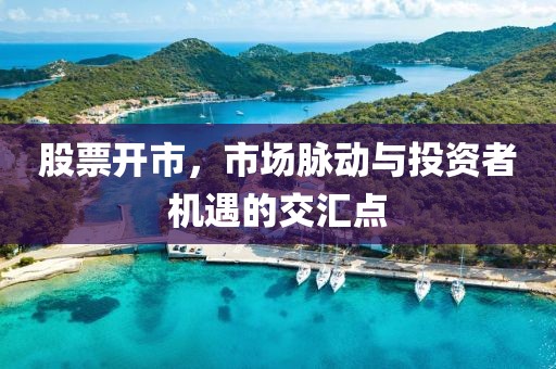 股票开市，市场脉动与投资者机遇的交汇点