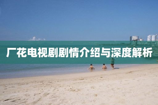 厂花电视剧剧情介绍与深度解析