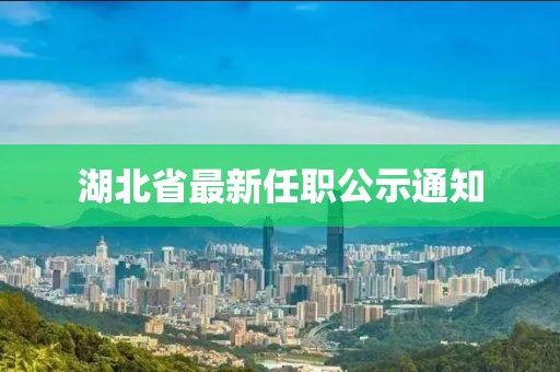 湖北省最新任职公示通知