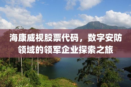海康威视股票代码，数字安防领域的领军企业探索之旅