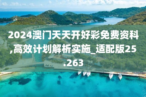 2024澳门天天开好彩免费资科,高效计划解析实施_适配版25.263
