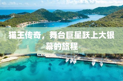 猫王传奇，舞台巨星跃上大银幕的旅程