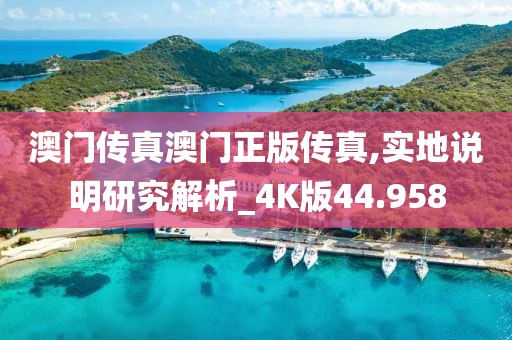 澳门传真澳门正版传真,实地说明研究解析_4K版44.958