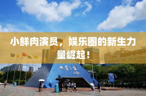小鲜肉演员，娱乐圈的新生力量崛起！