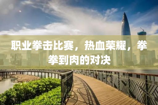职业拳击比赛，热血荣耀，拳拳到肉的对决
