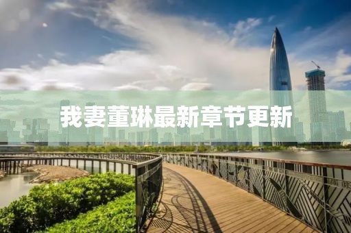 我妻董琳最新章节更新