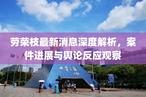 劳荣枝最新消息深度解析，案件进展与舆论反应观察