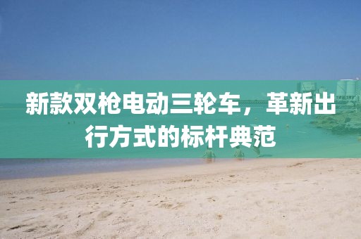 新款双枪电动三轮车，革新出行方式的标杆典范