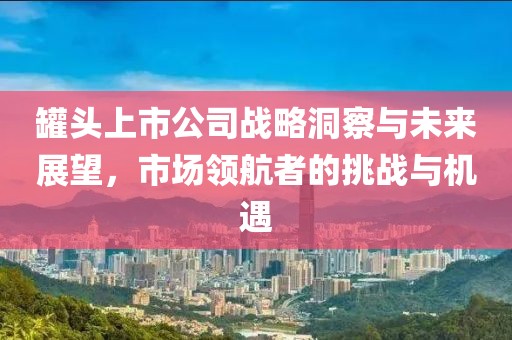 罐头上市公司战略洞察与未来展望，市场领航者的挑战与机遇