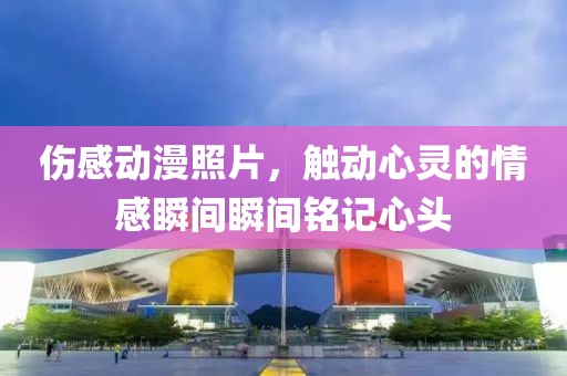 伤感动漫照片，触动心灵的情感瞬间瞬间铭记心头