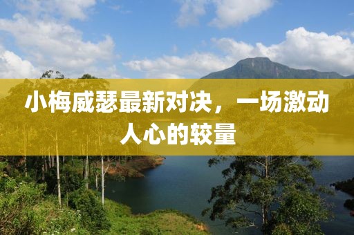小梅威瑟最新对决，一场激动人心的较量