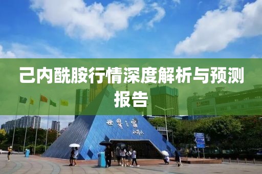 己内酰胺行情深度解析与预测报告