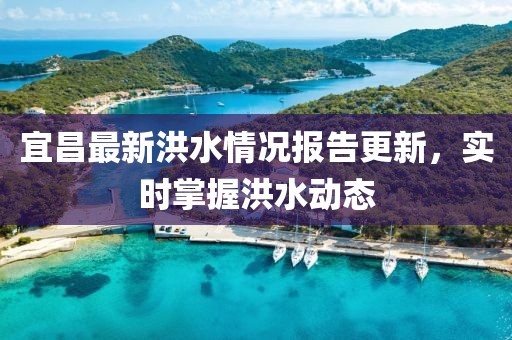 宜昌最新洪水情况报告更新，实时掌握洪水动态