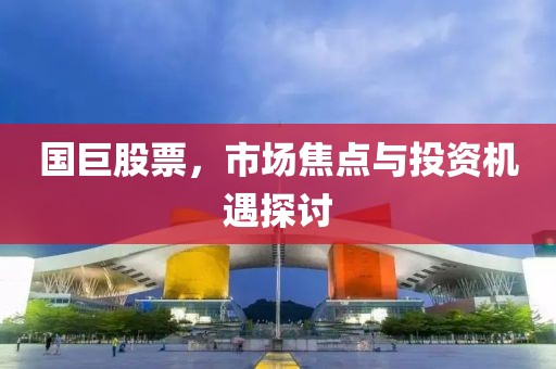 国巨股票，市场焦点与投资机遇探讨