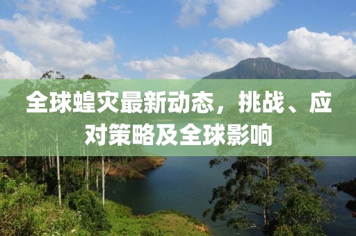 全球蝗灾最新动态，挑战、应对策略及全球影响