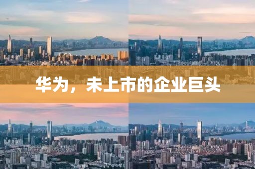 华为，未上市的企业巨头