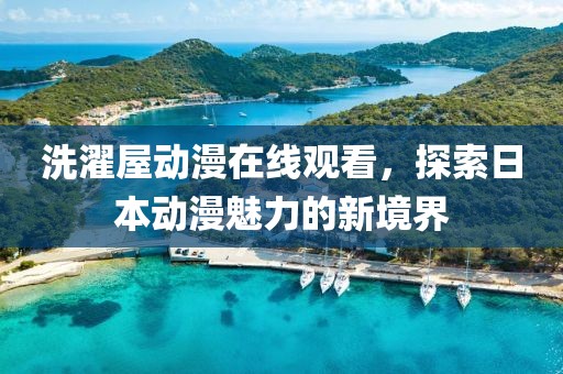 洗濯屋动漫在线观看，探索日本动漫魅力的新境界